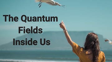 The Quantum Fields Inside Us