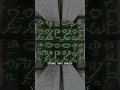 NOVA SIGNAL // TRANSMISSION 0271 // INDUCTION FAILED