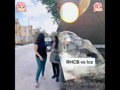 خلو بالكو من بناتكو اوي عبير ابو حجر 