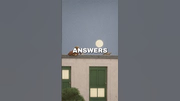 You Weren’t Drawn to This by Accident… A Message Has Finally Reached You #messageforyou