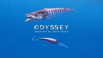 The Best Wahoo Fishing in the WORLD - Odyssey series Episode 5