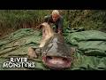 Face to Face With a Giant Wels Catfish the Size of a Man | River Monsters