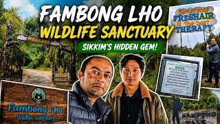 Tinjurey Trek | Fambong Lho Wildlife Sanctuary | Gangtok, Sikkim 🏔️