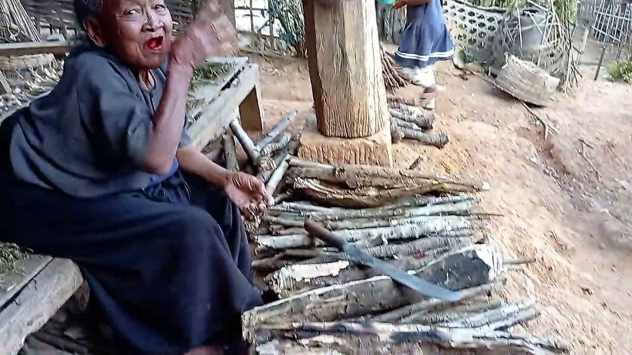 Коровы и буйволы: образ жизни народа тай-лу в Муанг-Йонге, Мьянма.