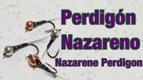 Fly tying - the Nazarene Perdigon