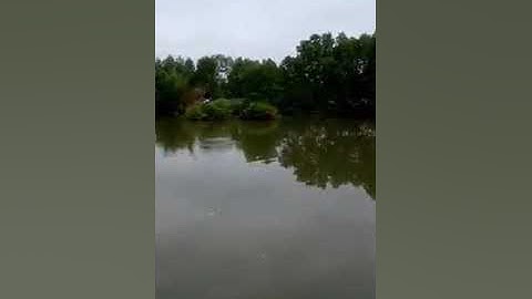 Câu cá chém khủng ở lô 14 Đầm Dơi