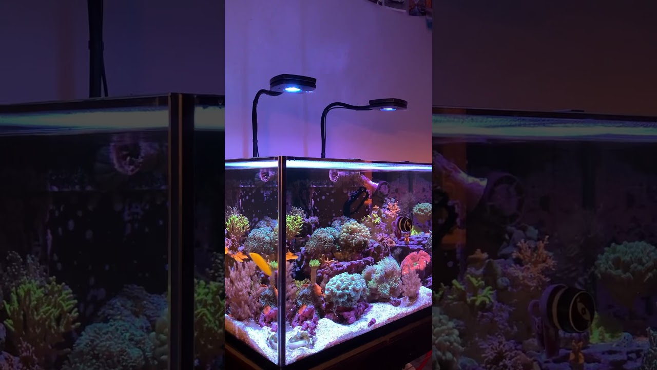 AI Prime 16HD lights get ‘er done 