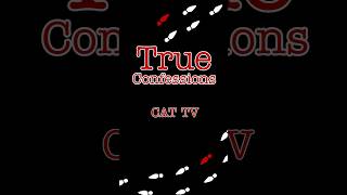 Cat TV #cats #confess #tv