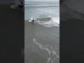 （過去映像）サーフィン　千葉北　飯岡