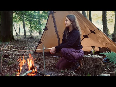 Video Bushcraft SOLO Overnighter In The Woods - ASMR |... - youtube