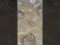 كرات اللحم بصوص الطحينه كيتو دايت