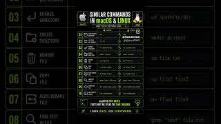  Macos User  Linux Usergood News Most Terminal Commands Are Exactly The Same