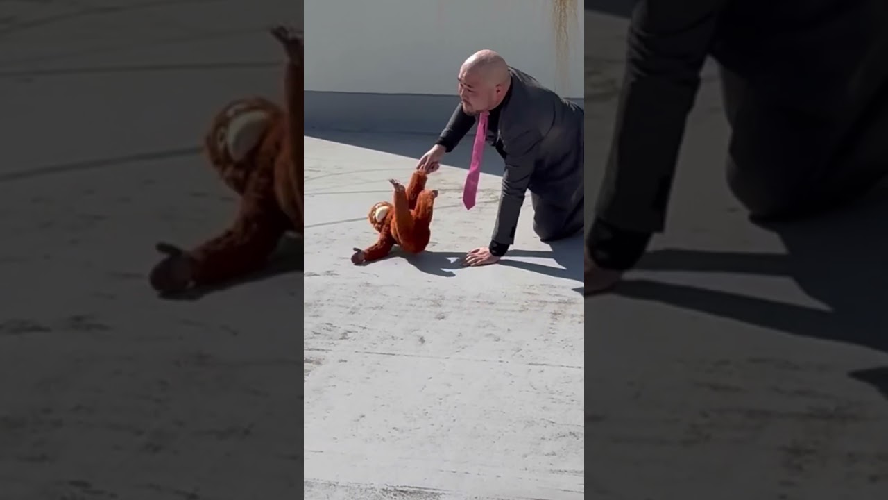 パンチくん#パンチくん #猿 #ニホンザル #市川動植物園