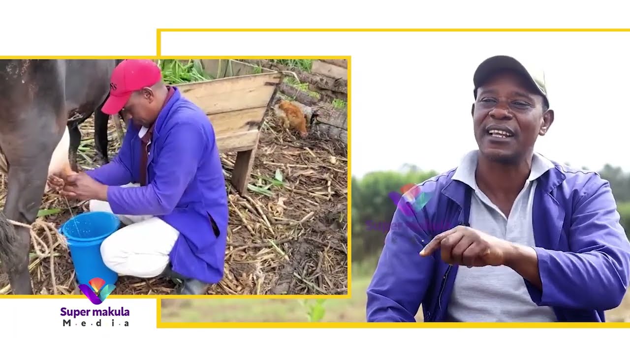 Part1:Engeri Kakiika gye yafuna mu kyeeyo,kati mulimi wa miti/bisagazi/mulunzi/akulira Vienna colleg