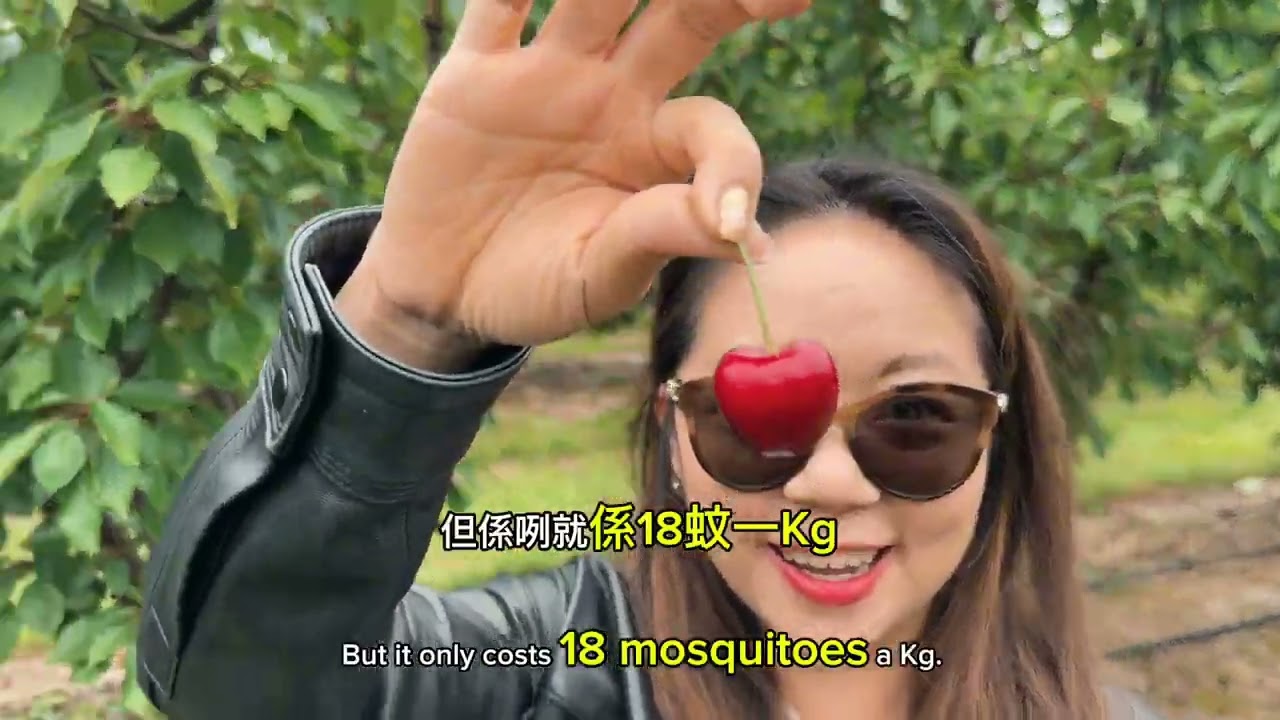 [Cherry Hill Orchard@ Melbourne]