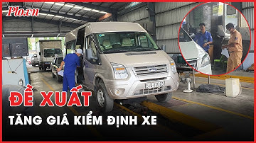 Mưa lớn, cá chết đầy kênh Nhiêu Lộc – Thị Nghè - Nóng hôm nay - PLO