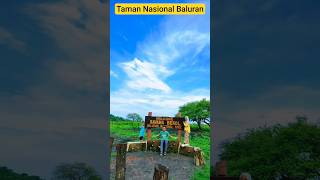 Download Lagu Safari Van Java di Taman Nasional Baluran Situbondo Jawa Timur #wisatajawatimur #wisatabanyuwangi MP3