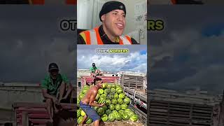MELHORES VÍDEOS TRABALHANDO!!! 😂 #shorts