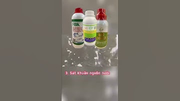 Nước ao bị thối đáy nhiều khí độc xử lý như thế nào #shorts