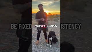 Separation anxiety is created, not born. #dogshorts