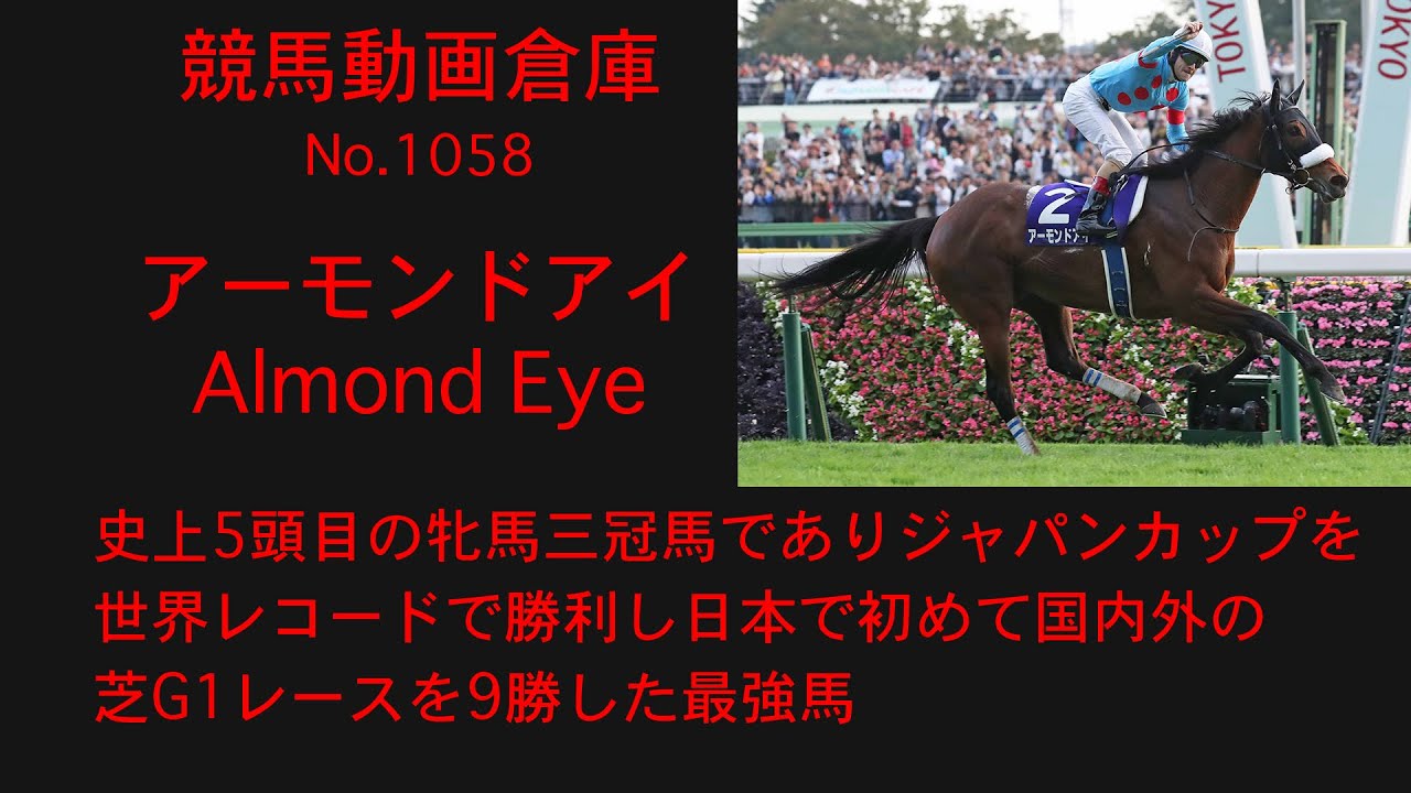 競馬】アーモンドアイ Almond Eye【No1058】 - YouTube