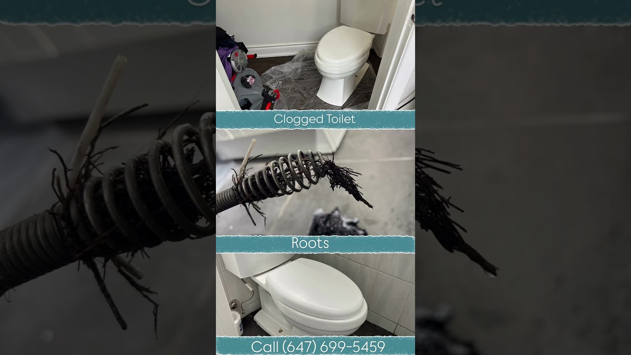 Save this number, just in case! You never know👍 