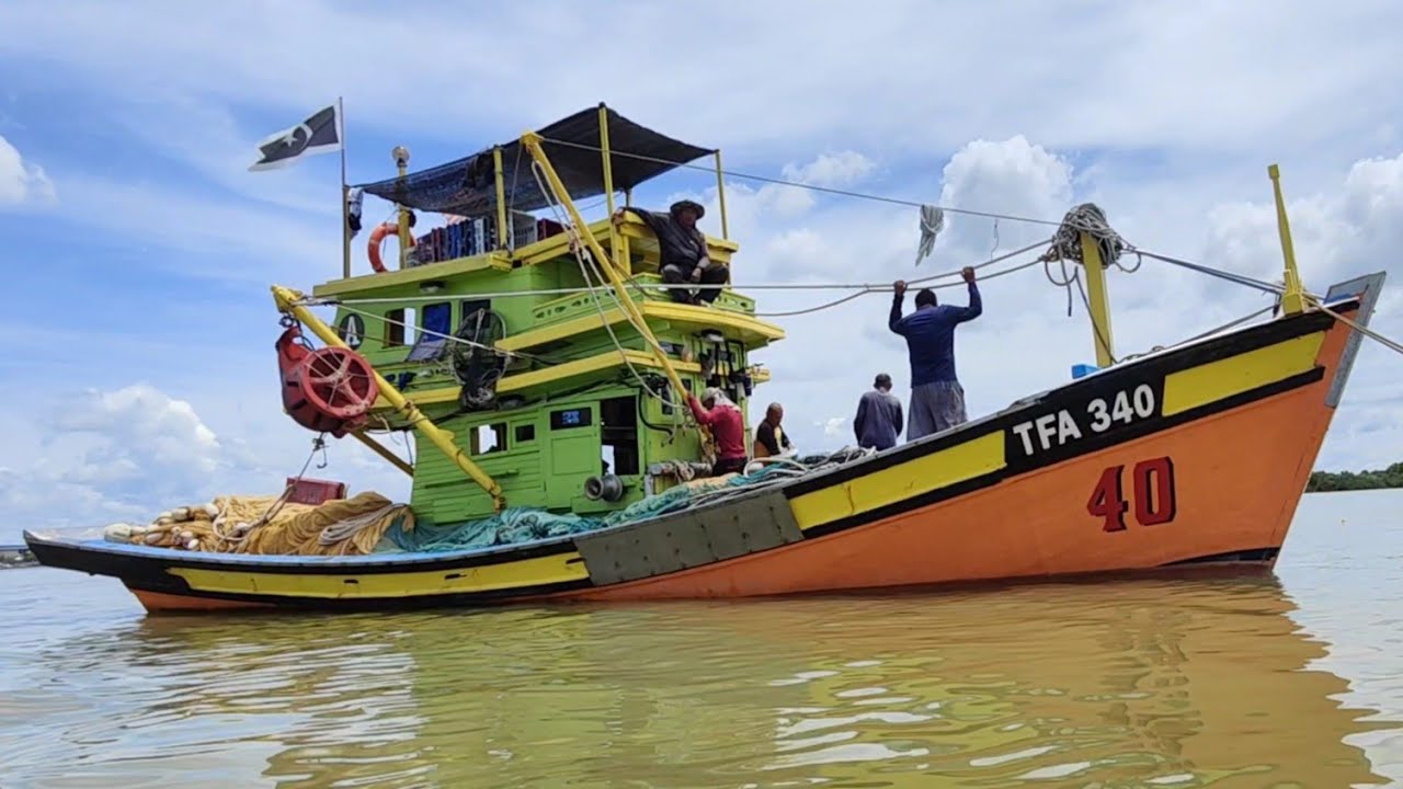 Ikan bilis putih baru muncul khabar gembira untuk nelayan