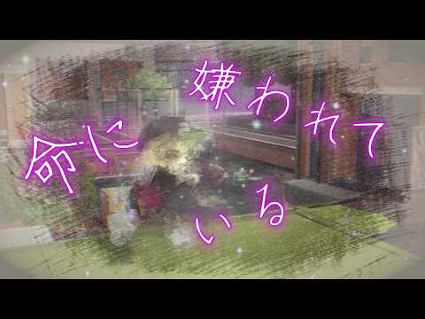 【スプラ３】キル集『命に嫌われている／カンザキイオリ』【コラボ】【キズナボール〈PBer〉様】