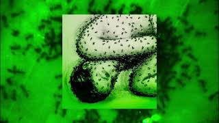 A Playlist to listen to with all of your bug friends 🐞 (The Corruption.)