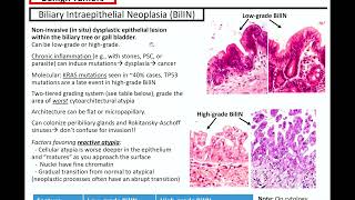 Gallbladder and Extrahepatic Bile Duct Tumors: Kurt's Notes #pathagonia