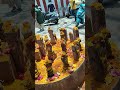 நாகத்தின் தரிசனம்
