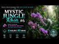 Cozy Orchid Forest Rainstorm [Vol.6] | 4 Hours 40 Mins Pure Nature Ambience for Insomnia
