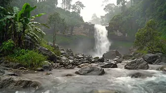 Waterfall Gentle Stream Sound in Forest. Waterfall Sounds, Flowing Water, White Noise For Sleep Waterfall Gentle Stream Sound in Forest. Waterfall Sounds, Flowing Water, White Noise For Sleep