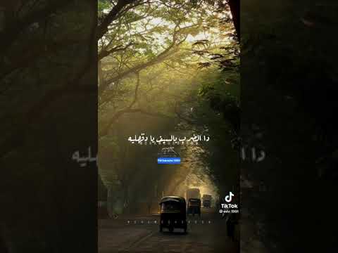 مجدي الشعار