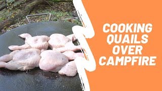 BEST QUAIL RECIPE | Cooking QUAILS In The Forest | CATCH &amp; COOK QUAILS