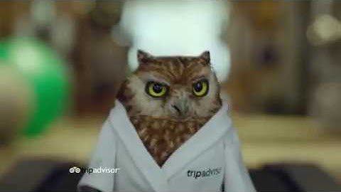 TRIPADVISOR Commercial, 