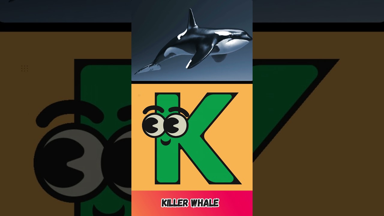 ABC Dolphin Song 🐬 | A to Z Dolphin Names & Phonics Fun for Kids | UZR Learning