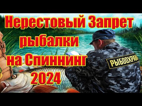 Разрешен Ли Спиннинг В Нерестовый Запрет 2024 Новые Правила Рыбалки Закон О Рыбалке