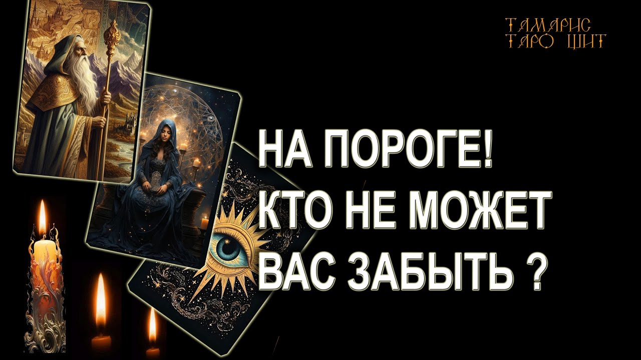 Тамарис таро щит последние расклады