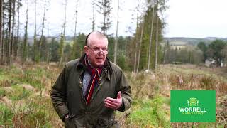 Michael O'Rourke Testimonial
