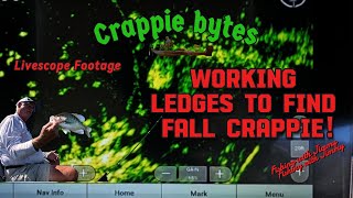 видео: Рабочие уступы, чтобы найти осень! Краппи-слэбы на Livescope #crappiefishing #livescope #fallcrappie картинка: Рабочие уступы, чтобы найти осень! Краппи-слэбы на Livescope #crappiefishing #livescope #fallcrappie