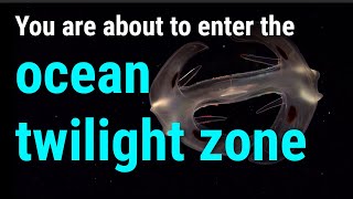 What is the Ocean Twilight Zone?