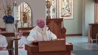Gospel and Homily - Third Sunday of Easter