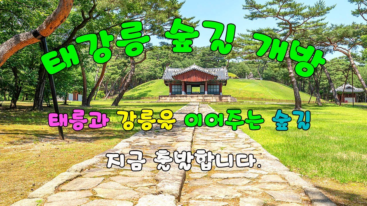 태강릉 숲길 - YouTube