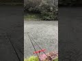 Fishing in the rain