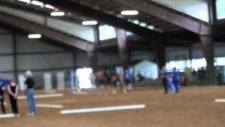 20110514-P5141157.avi