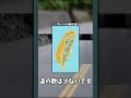 視聴者から送られてきた海外の写真を特定したい