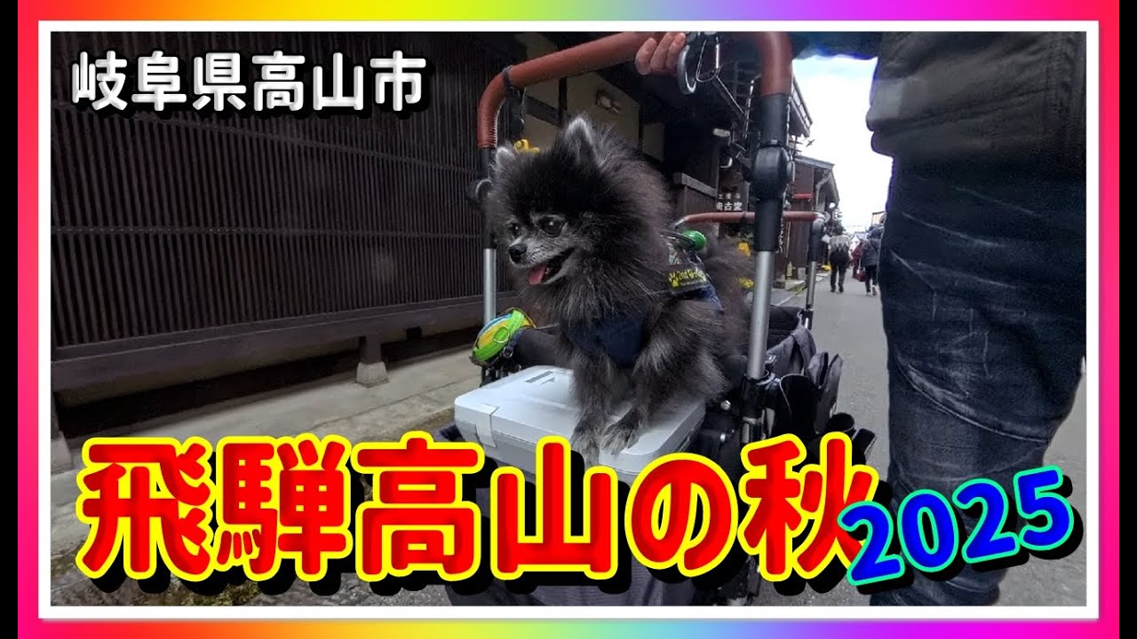 【🍁散策物語】飛騨高山の秋 2025 HDR　～岐阜県高山市～