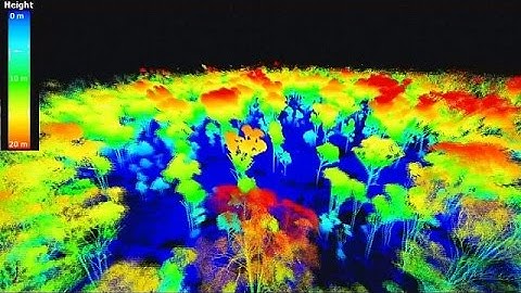 Laser scanning trees