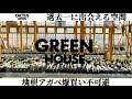 【CACTUS GREEN】塊根植物【アガベ】サボテン全てが揃う最高の園芸店は最強のお洒落空間でした。#カクタスグリーン